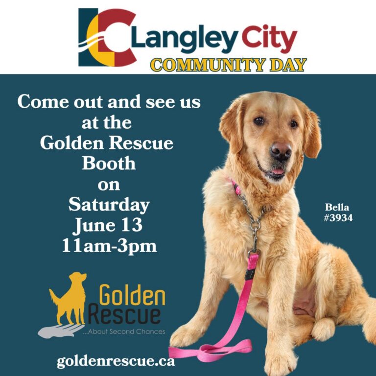 Golden Rescue - Langley Community Day ~ Langley, BC