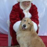 Santa with a Golden