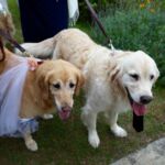 Bride and Groom (Laya and Oakley)