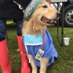 Best Dressed Contest