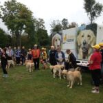 Istanbul Golden ceremony